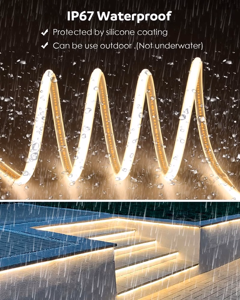 COB DC24V-256D-90RA-2PIN BICOLOR - Image 3